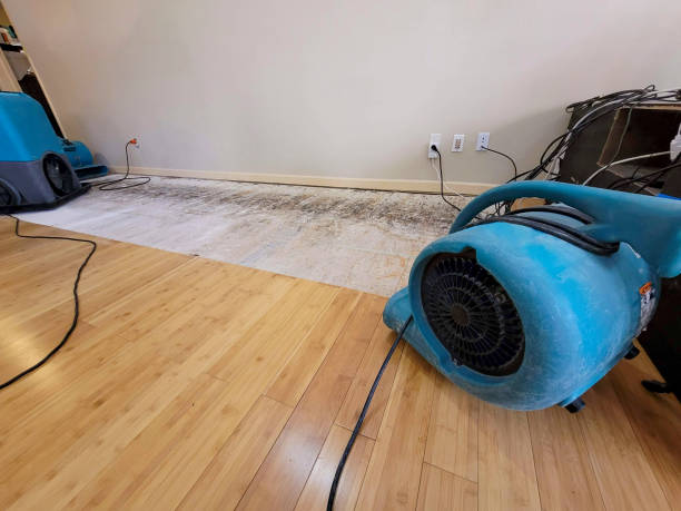 Professional Structural Drying technician working in Winnebago, IL
